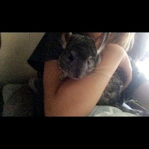 Meet your Posher, Vanessa