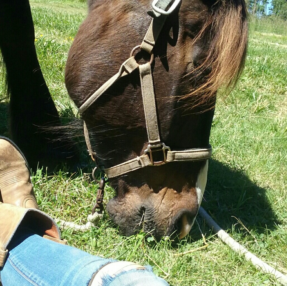 Meet your Posher, Sarah