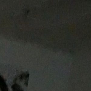 Meet your Posher, Bryanna