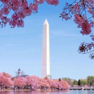 Meet your Posher, Daniella