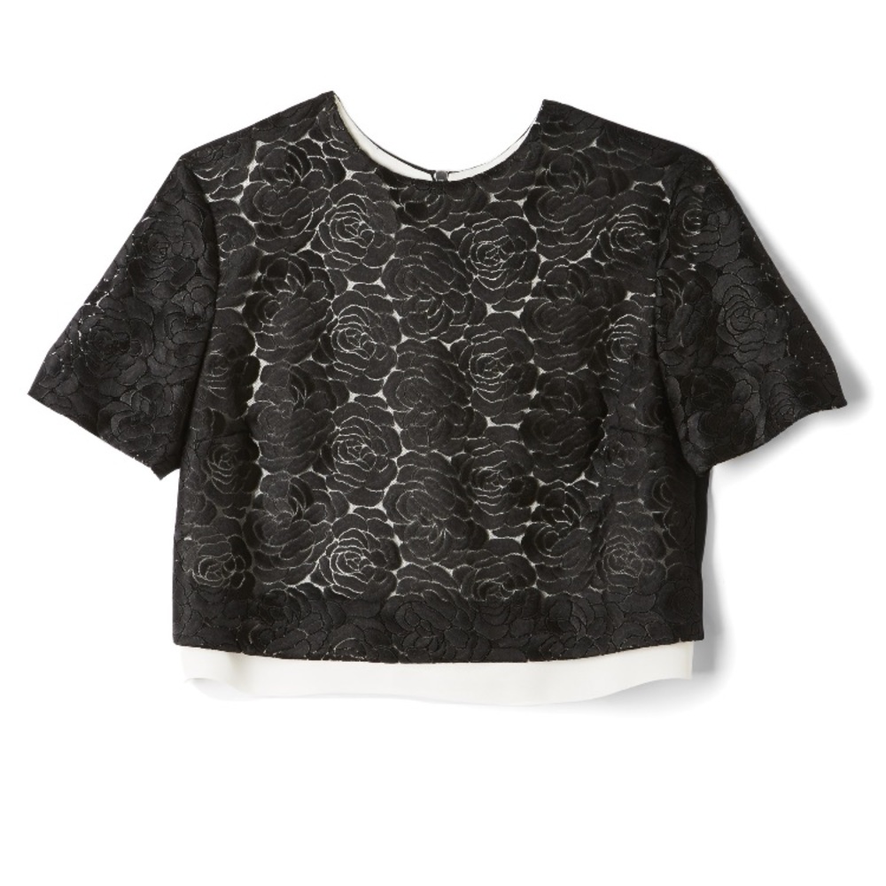 PM EDTR🎉HPx2🎉A.L.C. Thompson Floral Lace CropTop