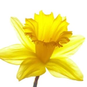 Meet your Posher, Tipp