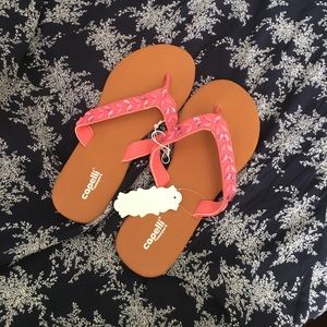 capelli jelly flip flops