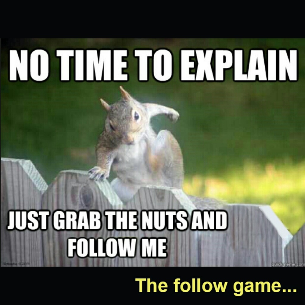 Follow Game