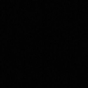 Meet your Posher, Lily