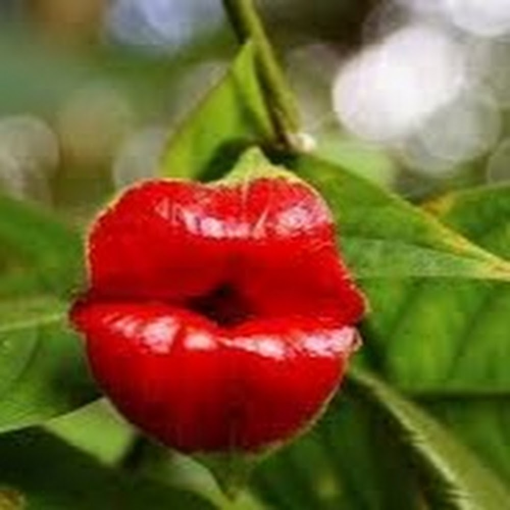 Meet your Posher, Jen