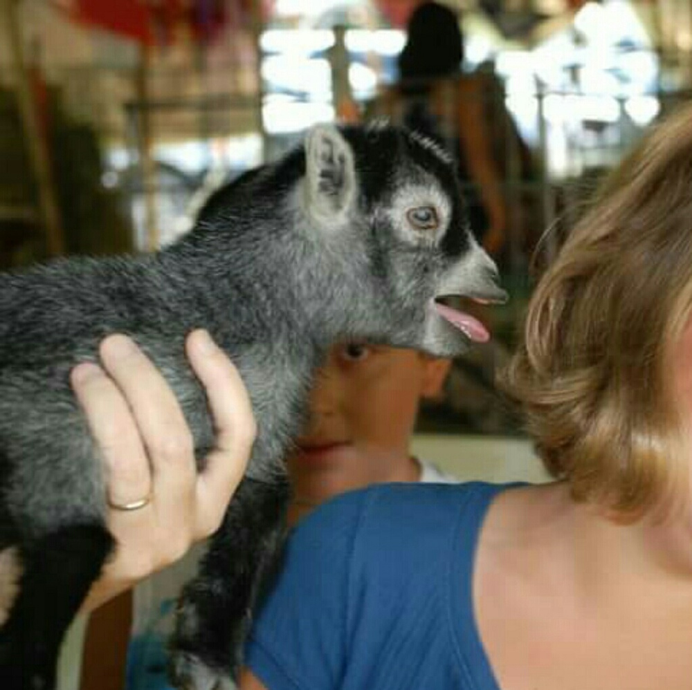 Meet your Posher, Elizabeth