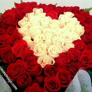 Meet your Posher, Kari