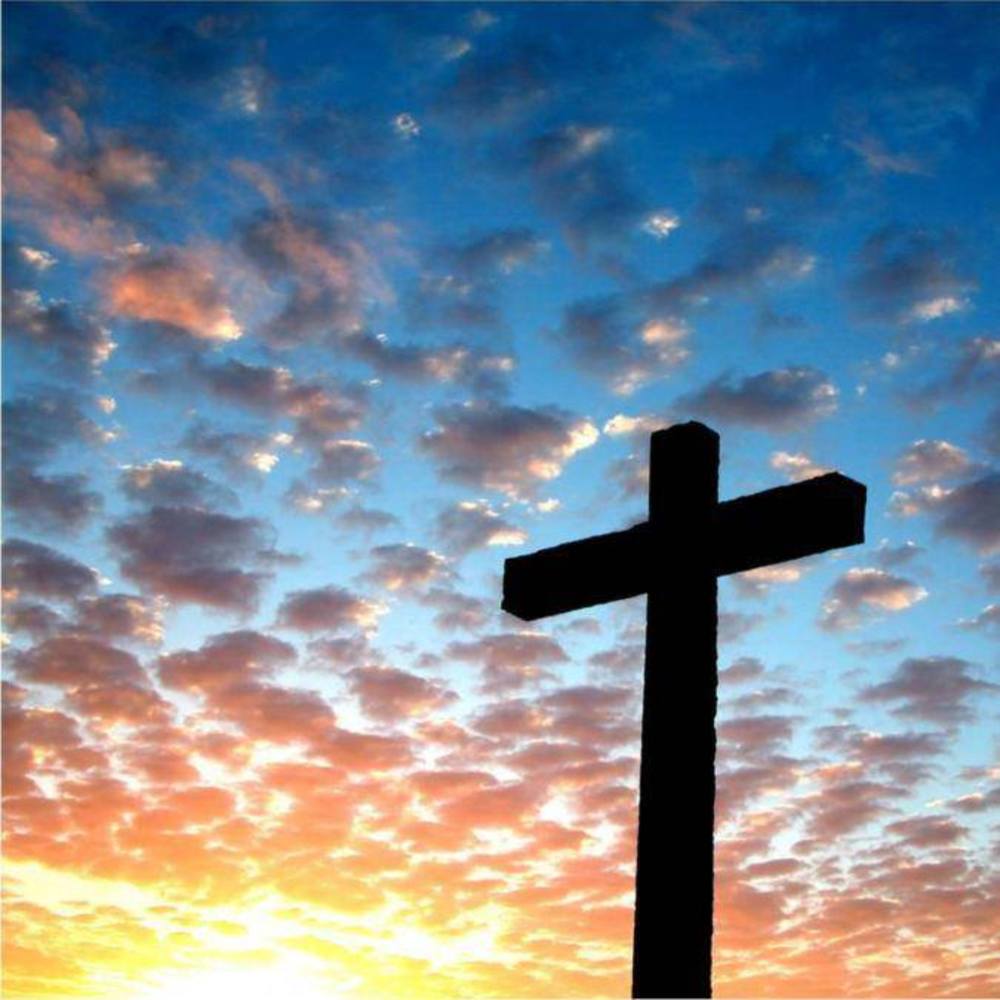 Meet your Posher, Lena