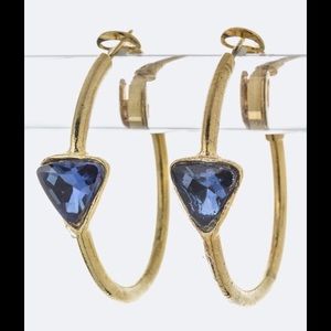 Fashion Earrings