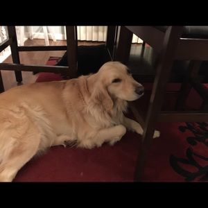 Meet your Posher, Edward