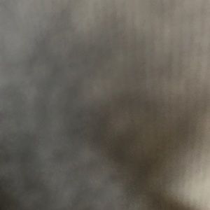 Meet your Posher, Jake