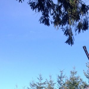 Meet your Posher, Yesenia