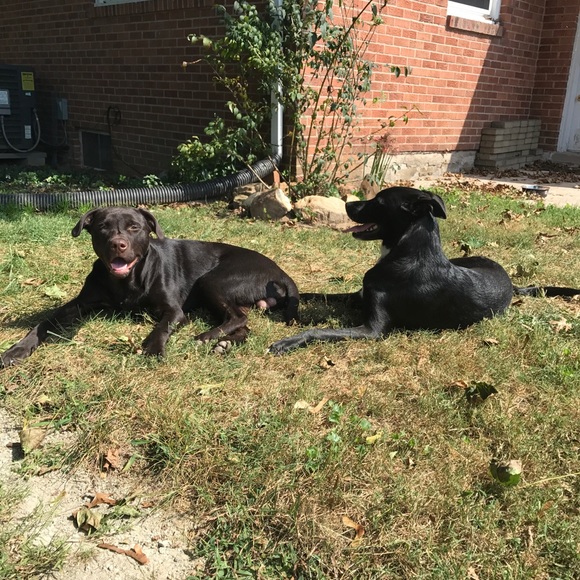 Meet your Posher, Leslie - Picture 3 of 3