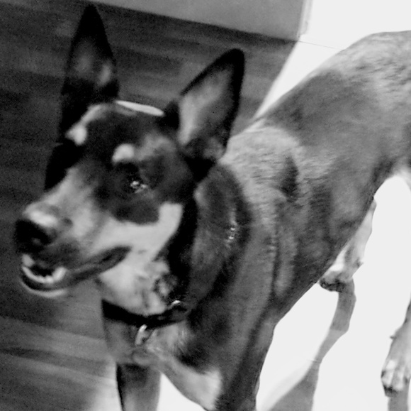 Meet your Posher, Aimee - Picture 8 of 8