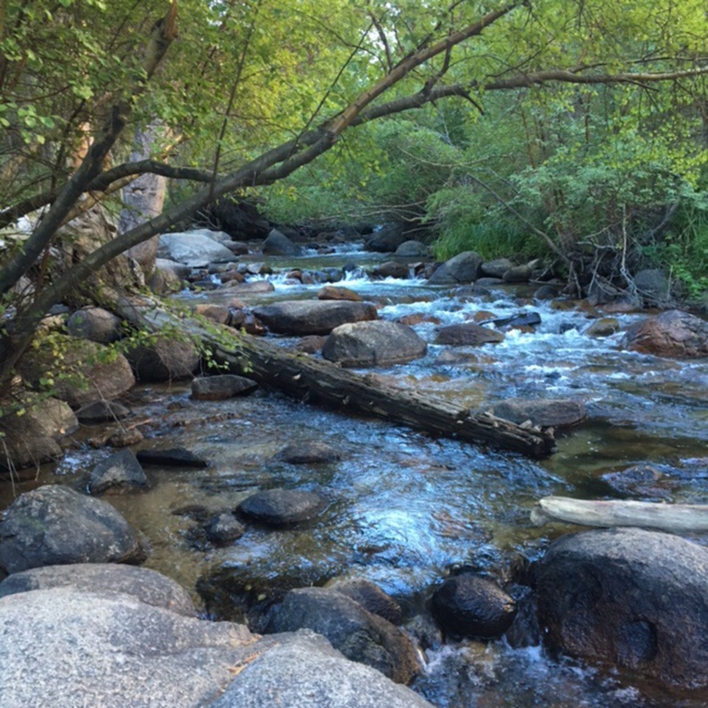 Meet your Posher, Sheri