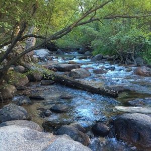 Meet your Posher, Sheri