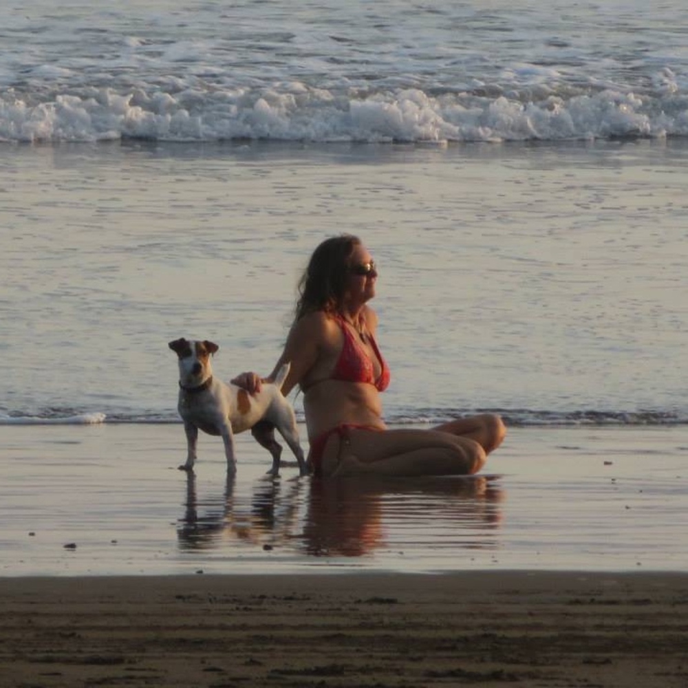 Meet your Posher, Donna