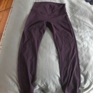 High times pant with mesh