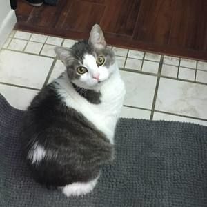 Meet your Posher, Patty