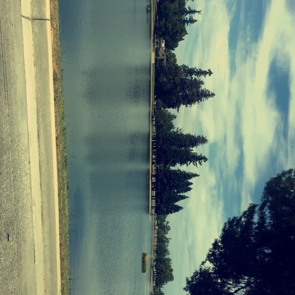 Meet your Posher, Pearly - Picture 1 of 1