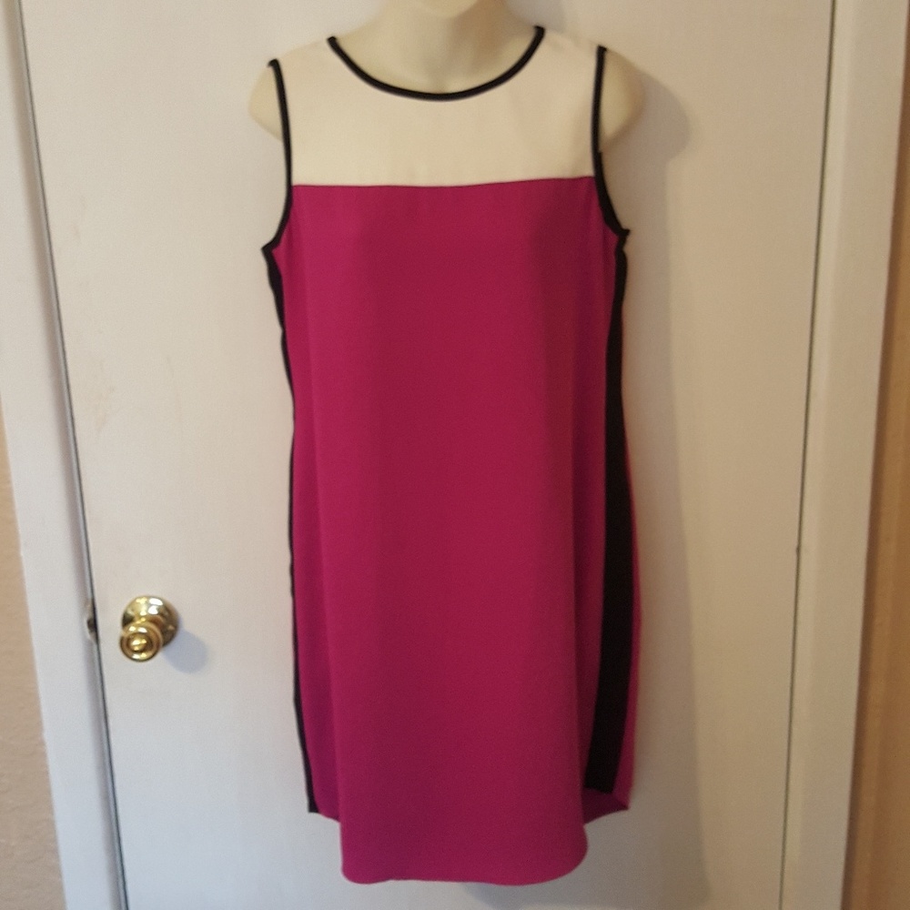 CK Colorblock Shift Dress