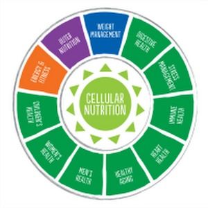 Meet your Posher, Jim