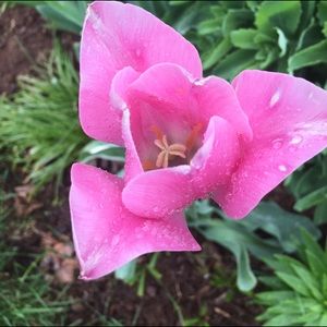 Meet your Posher, Maggie