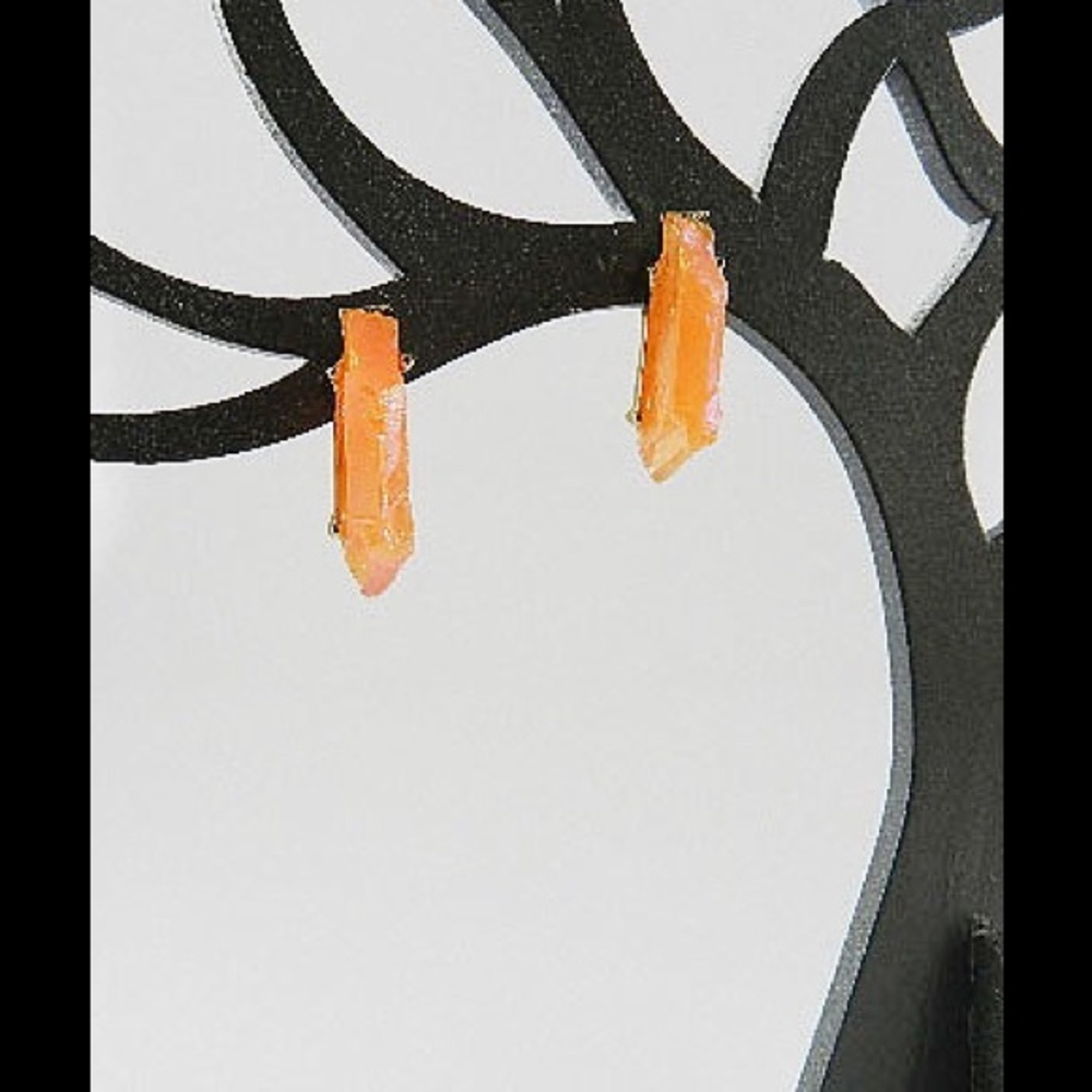 Fashion Earrings