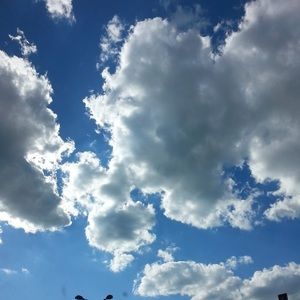 Meet your Posher, Bonnie