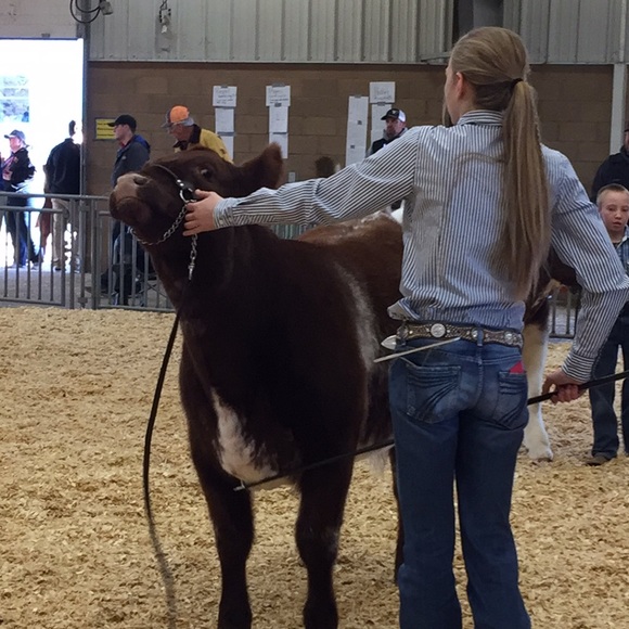 Meet your Posher, Paizlee - Picture 1 of 1