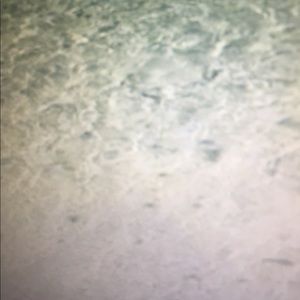 Meet your Posher, Colton