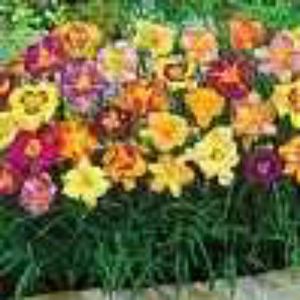 Meet your Posher, Marlana