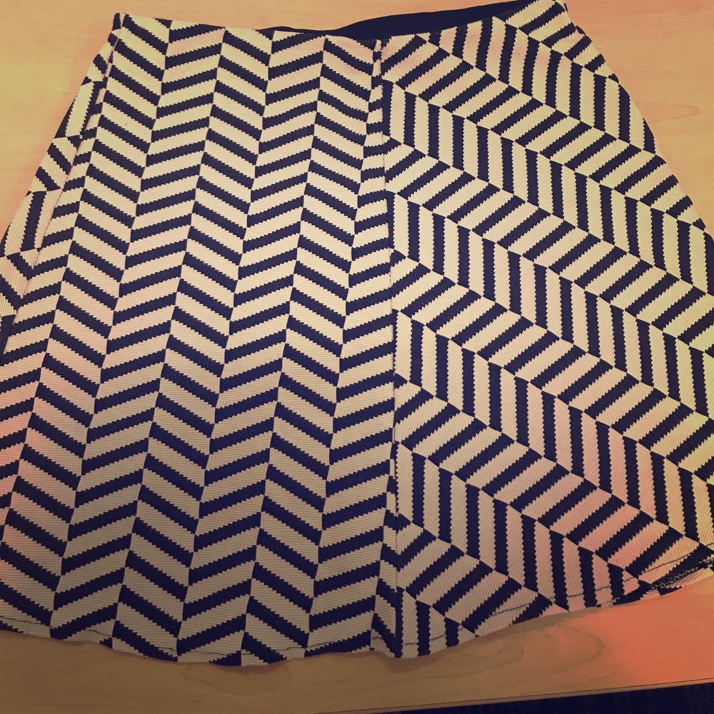Zara Black and White Skirt