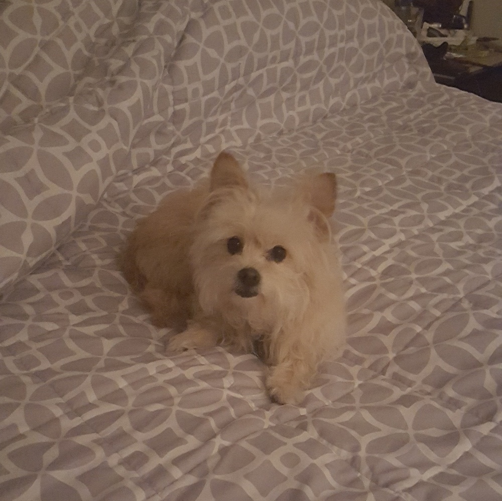 Meet your Posher, Madie