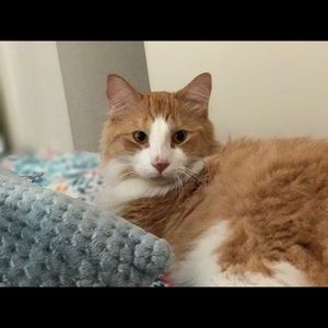 Meet your Posher, Fu