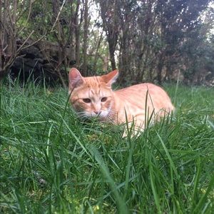 Meet your Posher, Mimi