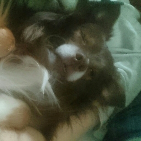 Meet your Posher, Sarah - Picture 1 of 1