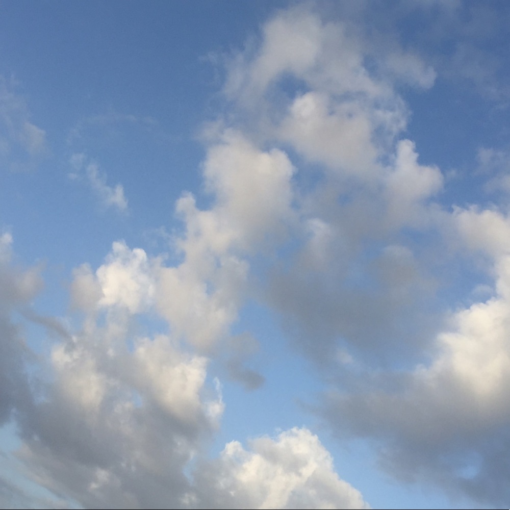 Meet your Posher, Lily