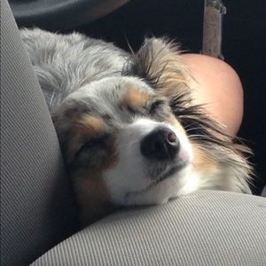 Meet your Posher, Natasha