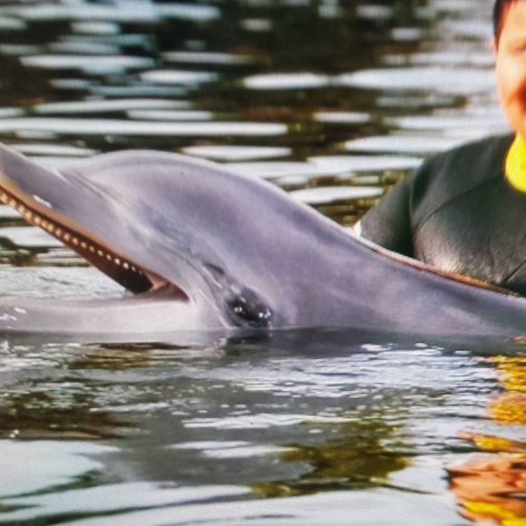 Meet your Posher, Michael - Picture 1 of 1