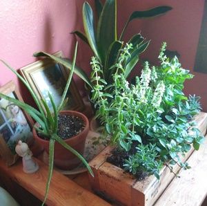 Meet your Posher, Robin