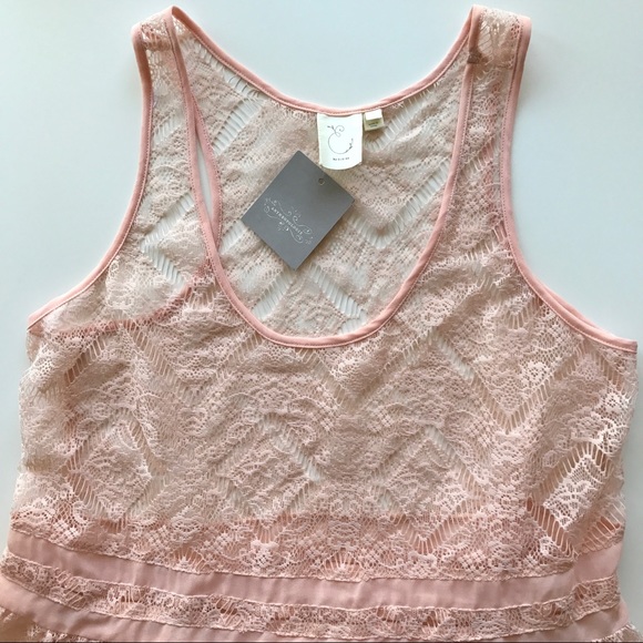 Anthropologie Eloise Pink Lace Slip Dress - Picture 3 of 5