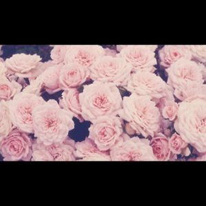 Meet your Posher, Leah