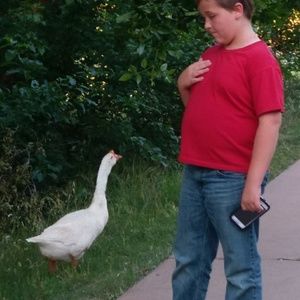 Meet your Posher, Nicki