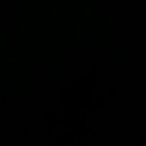 Meet your Posher, Darian