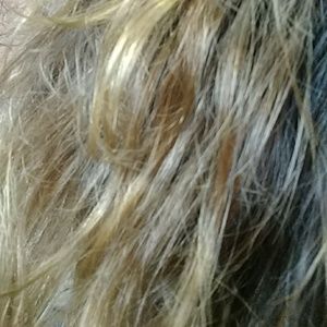 Meet your Posher, Charity