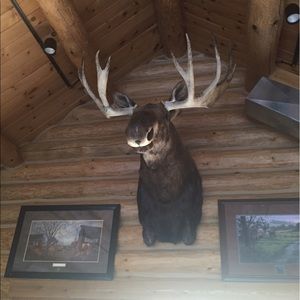 Meet your Posher, Chaston