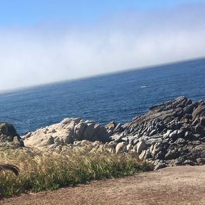 Meet your Posher, Celeste