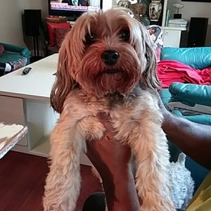 Meet your Posher, Joyce